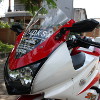 Elegant Sporty Ninja 250R